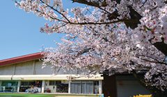 進学就職状況